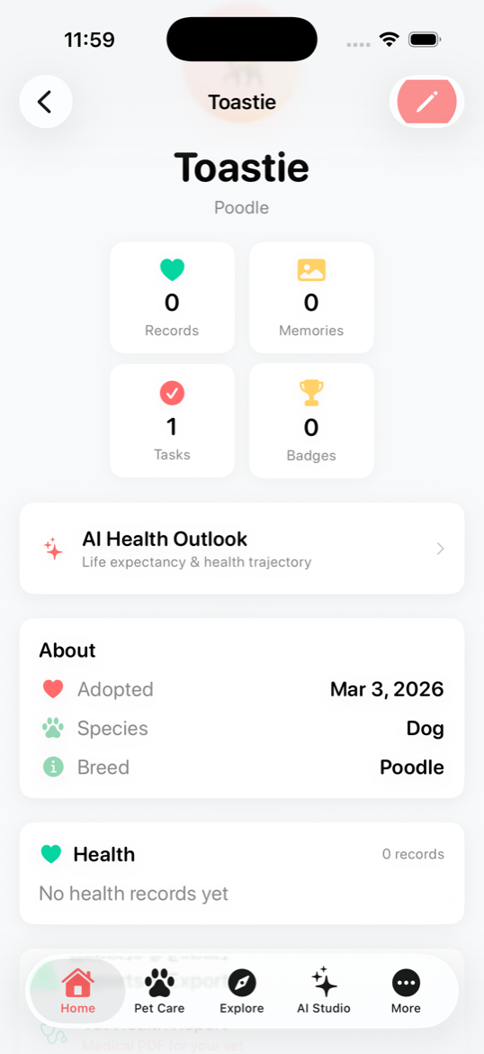 Home Dashboard